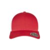 110 MESH 2-TONE CAP